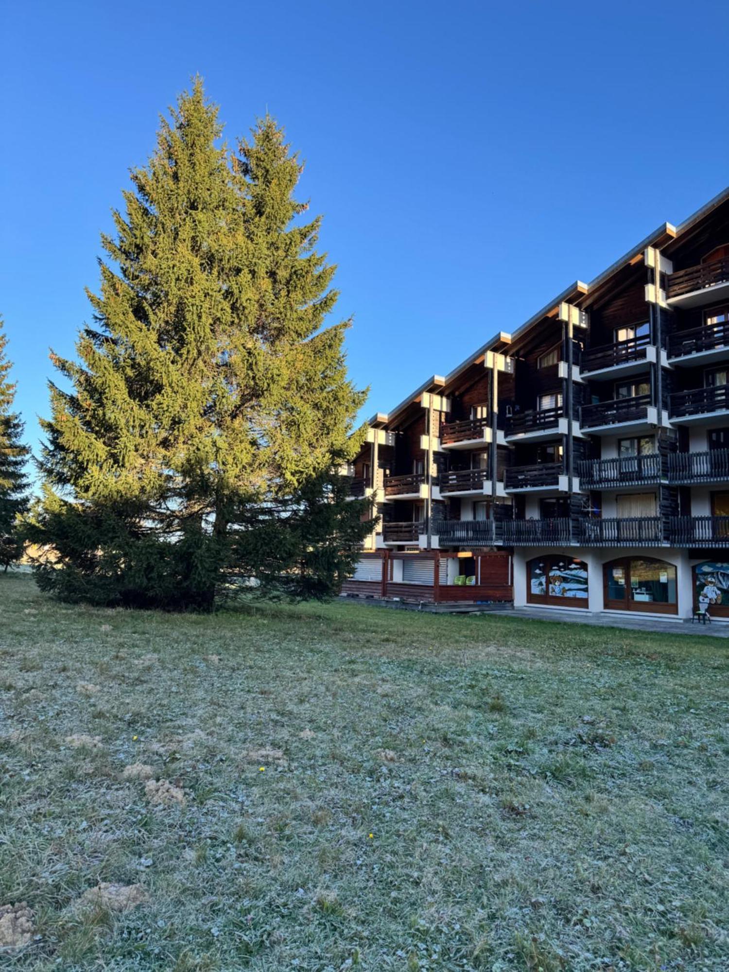 Superbe Studio De Montagne, Au Pied Des Pistes De Ski, Classe 3 Etoiles La Morte Buitenkant foto